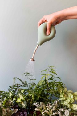 ruka stišće zeleni balon za zalijevanje i time otpušta mlaz vode iznad biljaka