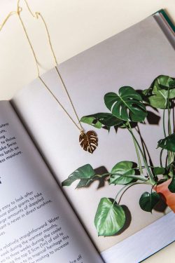 Pozlaćeni lančić s privjeskom u obliku monstere uz lišće monstere na knjizi kao podlozi