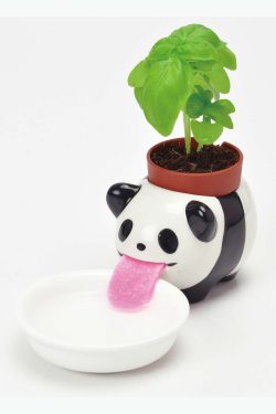 Na slici se vidi keramička figurica pande sa rozim filcanim jezikom koji je isplažen i uronjen u plitku bijelu posudicu. Panda je crno-bijela, a na leđima nosi plastičnu smeđu posudicu sa zemljom iz koje je narasla biljka sa zelenim listovima.