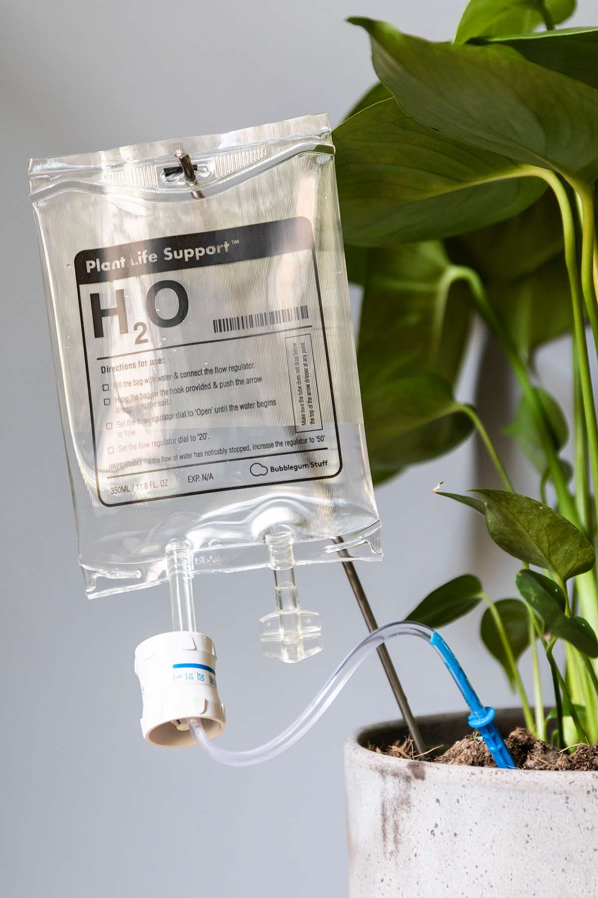 Na slici se vidi prozirna infuzijska vrećica s natpisom "H2O plant life support ". Vrećica je upiknuta u zemlju u ukrasnoj teglici u kojoj je posađena monstera. Vrećica služi za navodnjavanje biljke. Pozadina slike je sive boje.