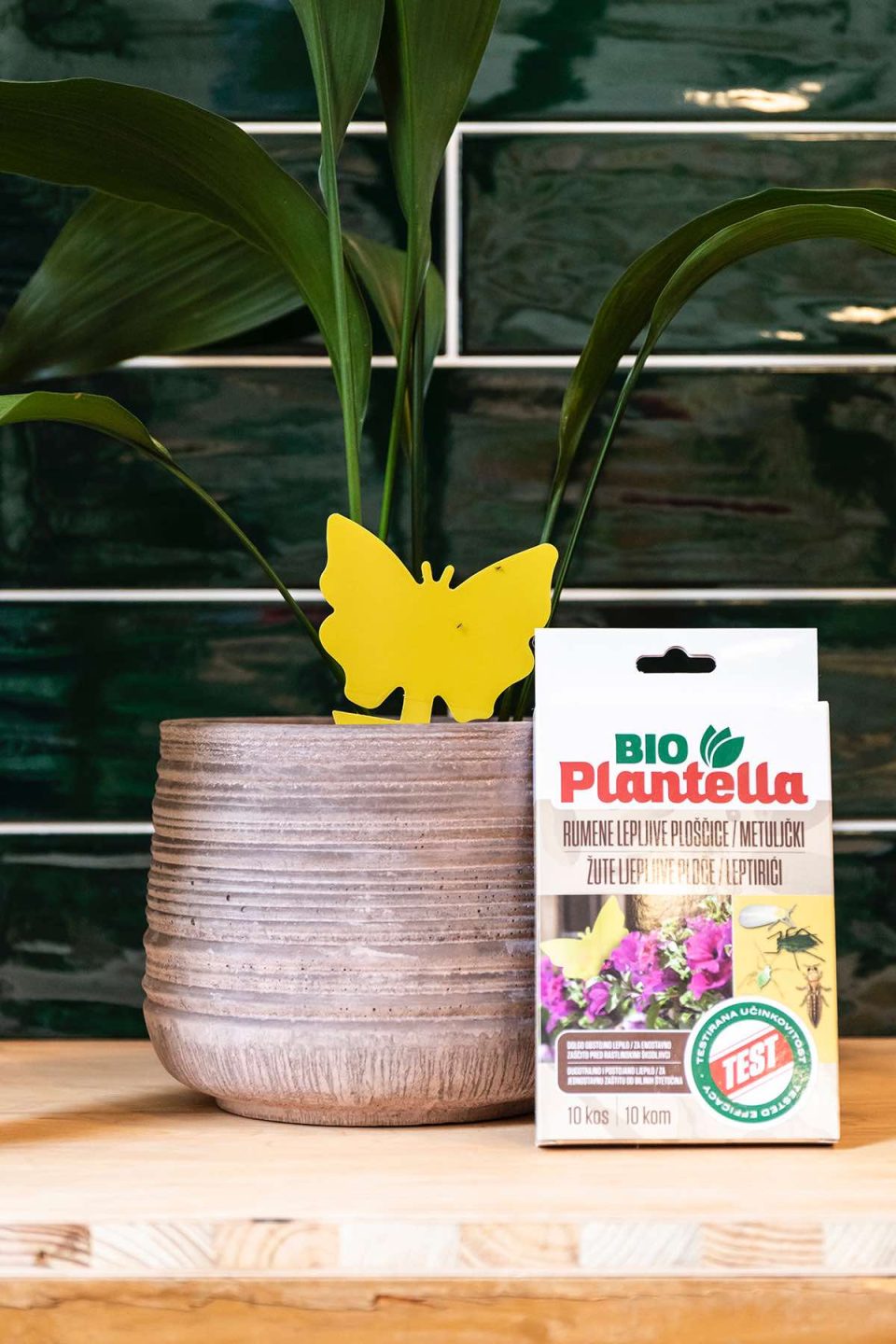 Na slici se vidi kutijica od Plantelle sa žutim ljepljivim pločicama za hvatanje štetnika u obliku leptirića. U pozadini se vidi biljka u ukrasnoj tegli u koju je upiknuta jedna žuta pločica i zelene pločice na zidu.