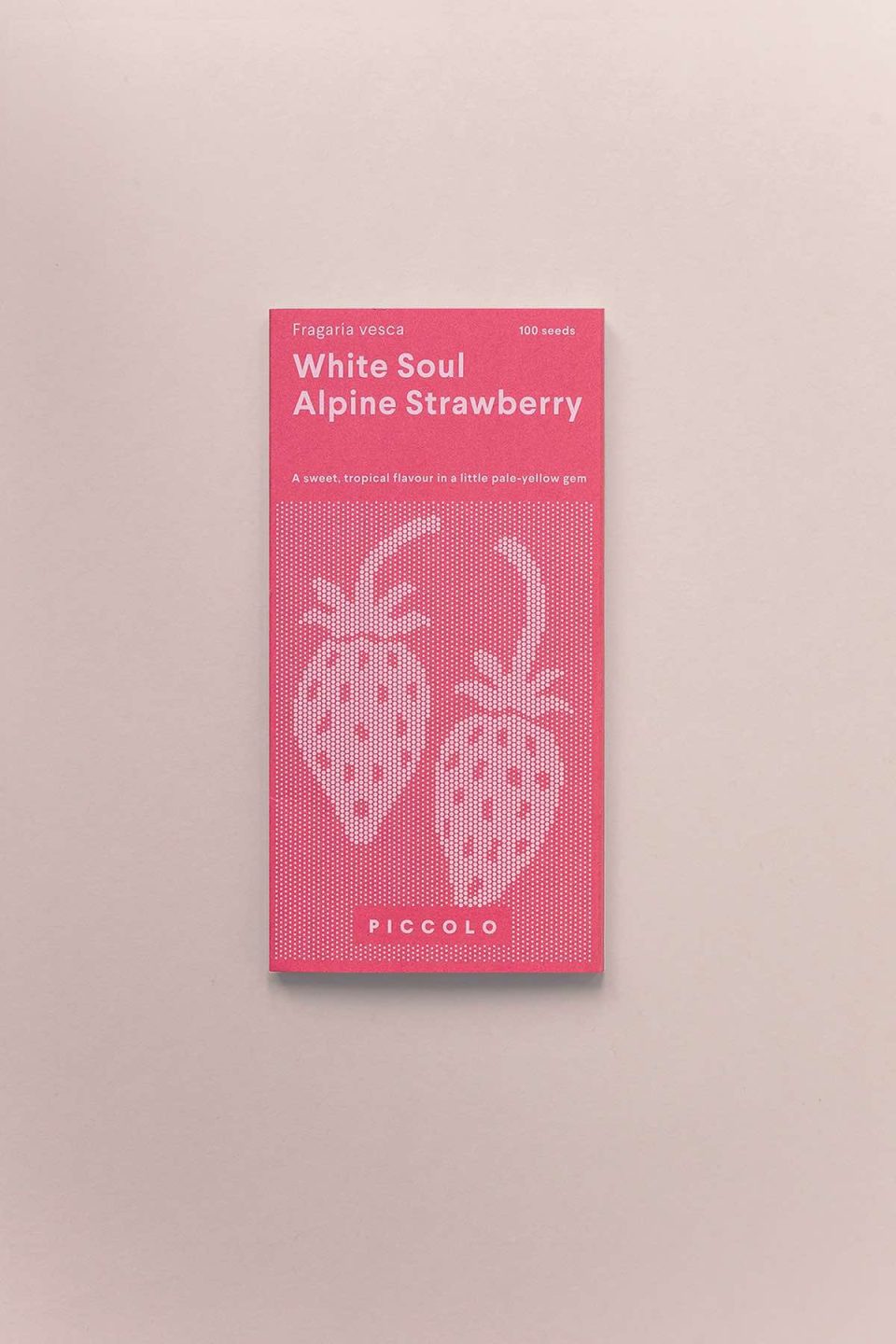 Roza kutija sjemenki alpske šumske jagode 'White soul' na rozoj podlozi