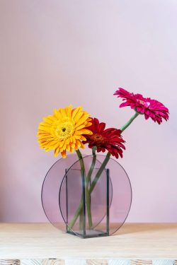 Na slici se vidi staklena okrugla vaza u rozo-ljubičastoj boji. U vazu su utaknuta četiri gerbera u živim bojama. Vaza stoji ispred roze pozadine na drvenom stolu.