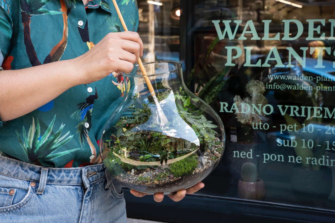 Slika prikazuje žensku osobu u šarnoj košulji kako stoji ispred izloga trgovine s biljkama s biljnim terarijem u ruci i kistićem tejra mušice iz tearija.