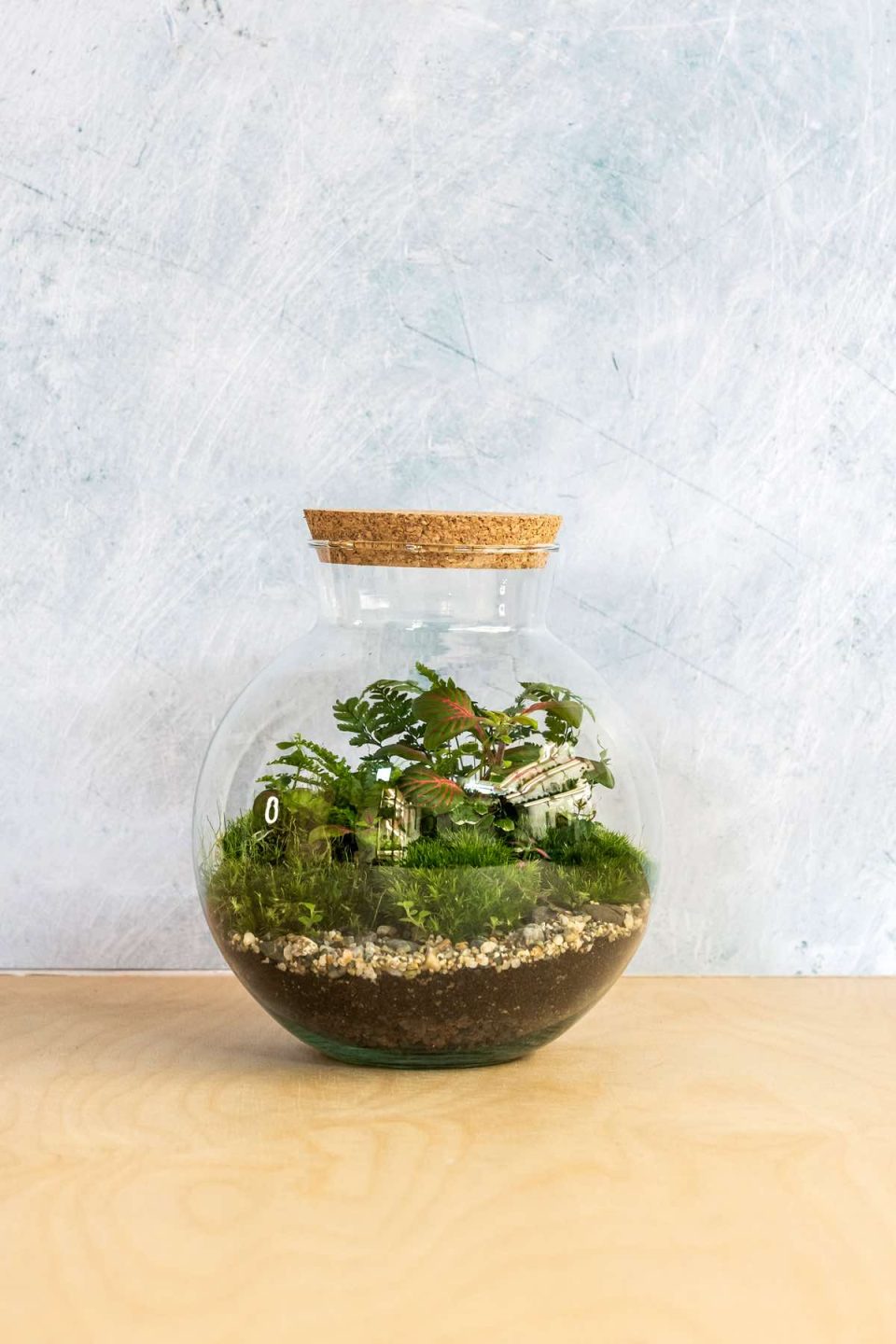 Slika prikazuje biljni terarij u okrugloj staklenci modela "Kugla M". U terariju su posađene razne biljke, zelene fitonije, paprati i mahovina, na dnu se vide ukrasni kamenčići i zemlja. Terarij stoji na drvenom stolu ispred plave pozadine.