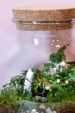 Slika prikazuje isječak unutrašnjosti manjeg biljnog terarija u okrugloj staklenci modela 'Kugla S'. Vidi se detalj vrha staklenke, unutra su posađene razne biljke, mahovina, paprati, draguljasta begonija i fitonije.