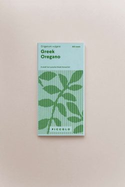 Zelena kutija sjemenki origana na sivoj podlozi