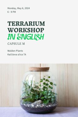 The picture shows an announcement for a terrarium making workshop. It is divided into two parts, in the lower part there is a picture showing a terrarium in front of a wooden background. There is text in the upper part of the image. In large letters in the middle it says 