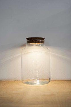 Slika prazne staklenke za srednji terarij s upaljenom led lampicom u plutenom čepu